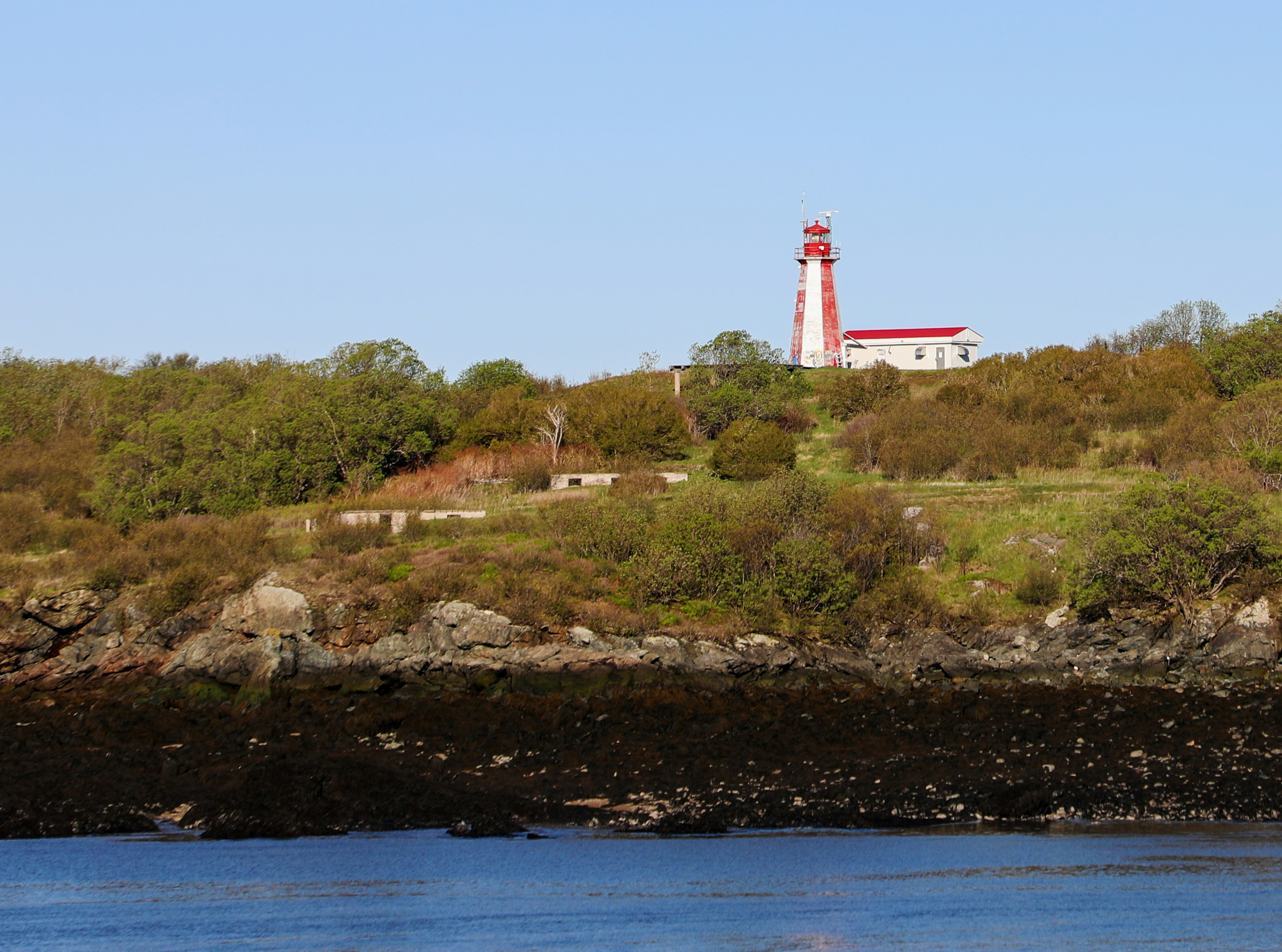 white and red lighthouse on hill near body of water